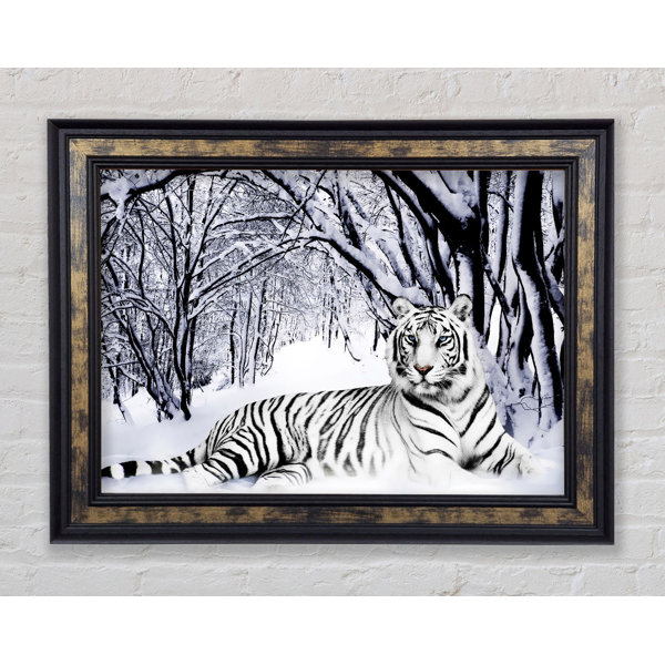 BohoLiving Weißer Tiger im Schnee Druck Wayfair de